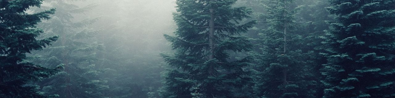 Nature banner